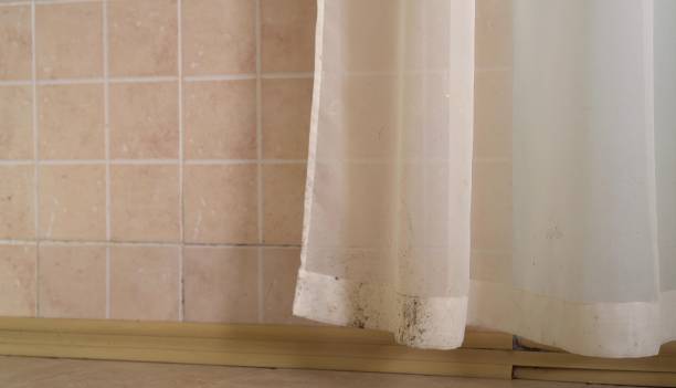 Best Real Estate Mold Inspection  in Green River, WY