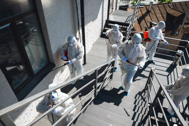 Best Industrial Mold Remediation  in Green River, WY