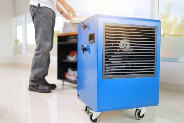 Best Attic Mold Removal  in Green River, WY