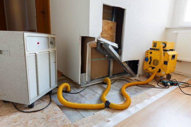 Best HVAC Mold Inspection and Cleaning  in Green River, WY