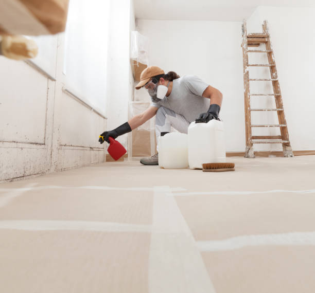 Best Forensic Mold Investigation  in Green River, WY